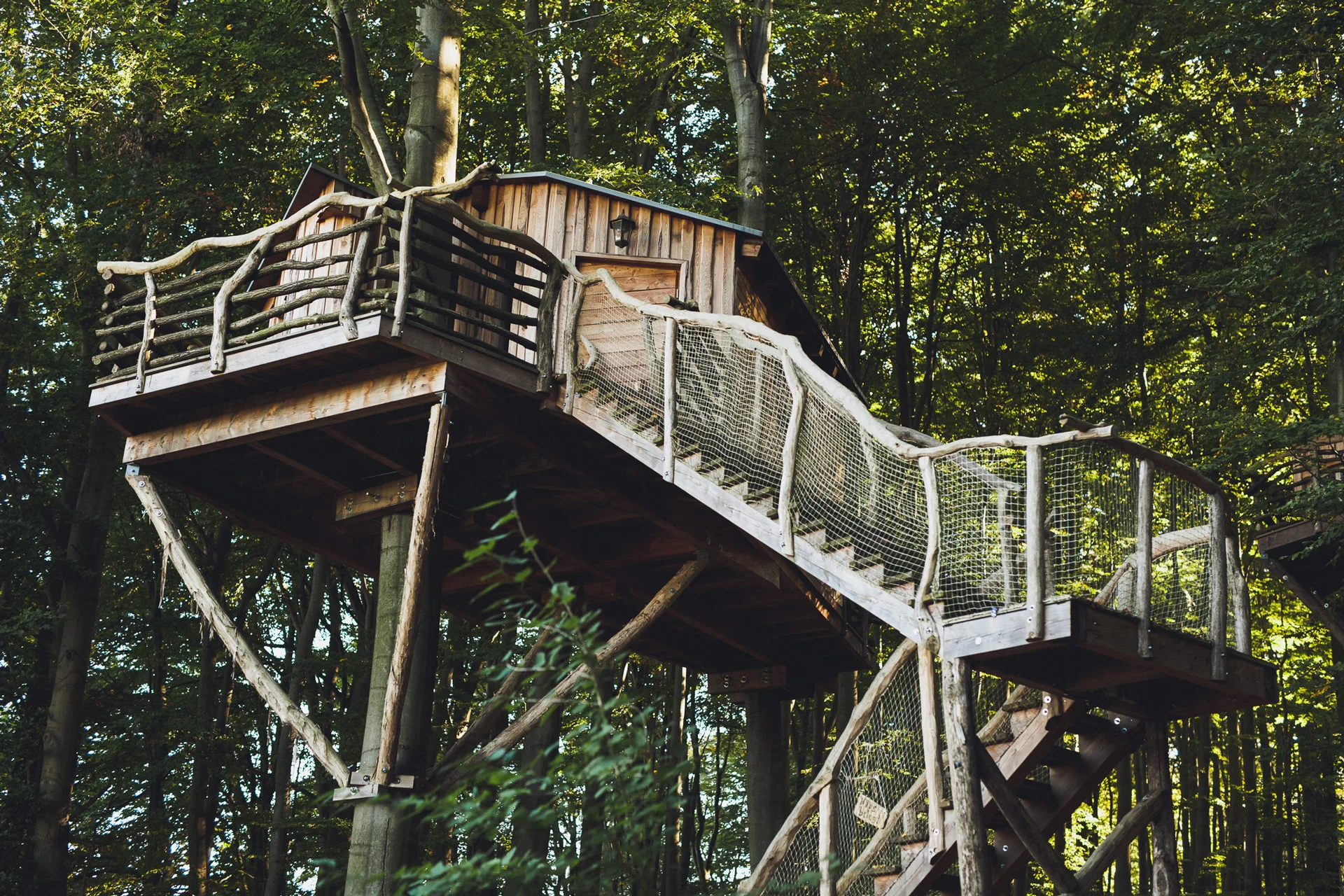 The Birch Treehouse, Pengalaman Menginap Unik di Antara Pohon Birch yang Tenang dan Romantis