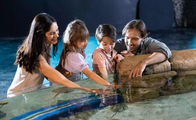 Liburan Keluarga yang Menyenangkan, Cara Menentukan Budget Realistis Agar Tak Melebihi Anggaran