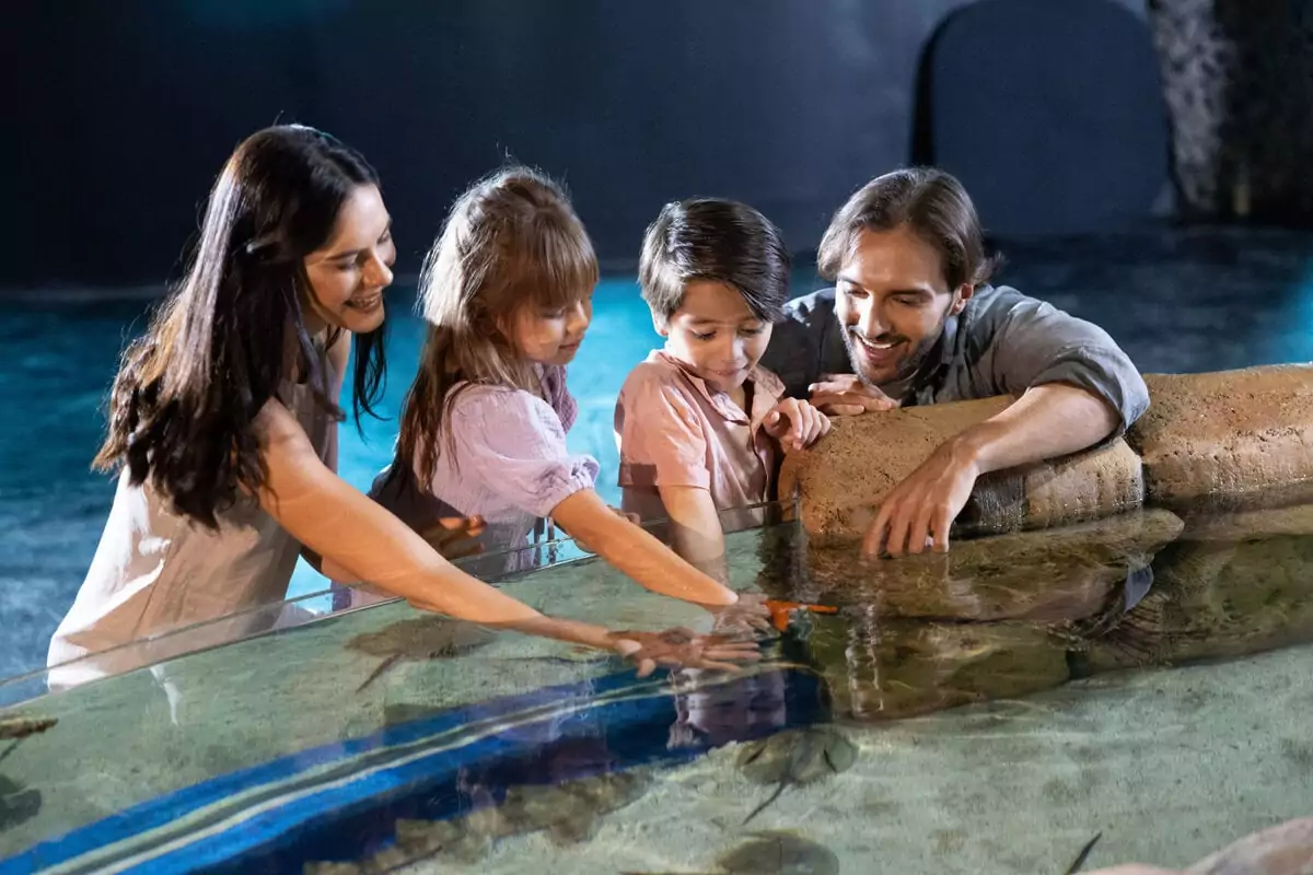 Liburan Keluarga yang Menyenangkan, Cara Menentukan Budget Realistis Agar Tak Melebihi Anggaran