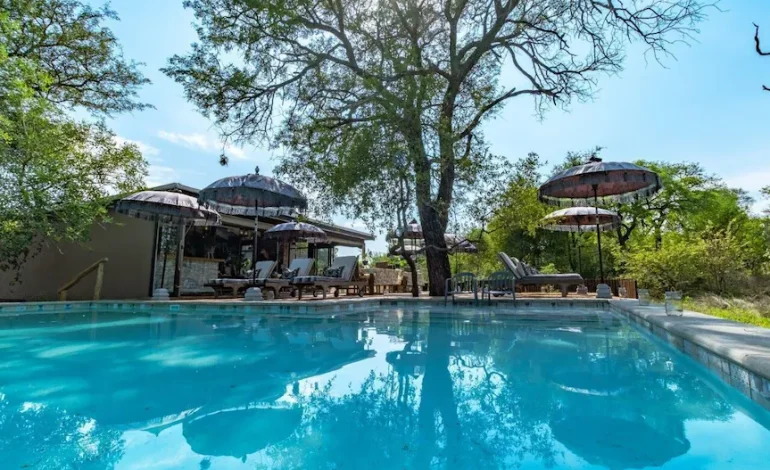 Safari Moon Luxury Camp, Glamping Mewah di Tengah Savana Afrika yang Menawarkan Pengalaman Tak Terlupakan