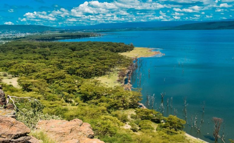 Danau Nakuru, Danau Flamingo yang Menakjubkan di Jantung Lembah Rift Kenya