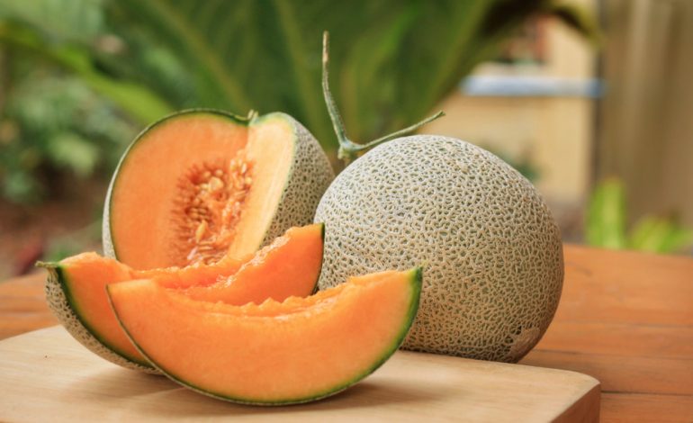 Yubari King Melon, Melon Termahal di Dunia yang Menjadi Kebanggaan Prefektur Hokkaido