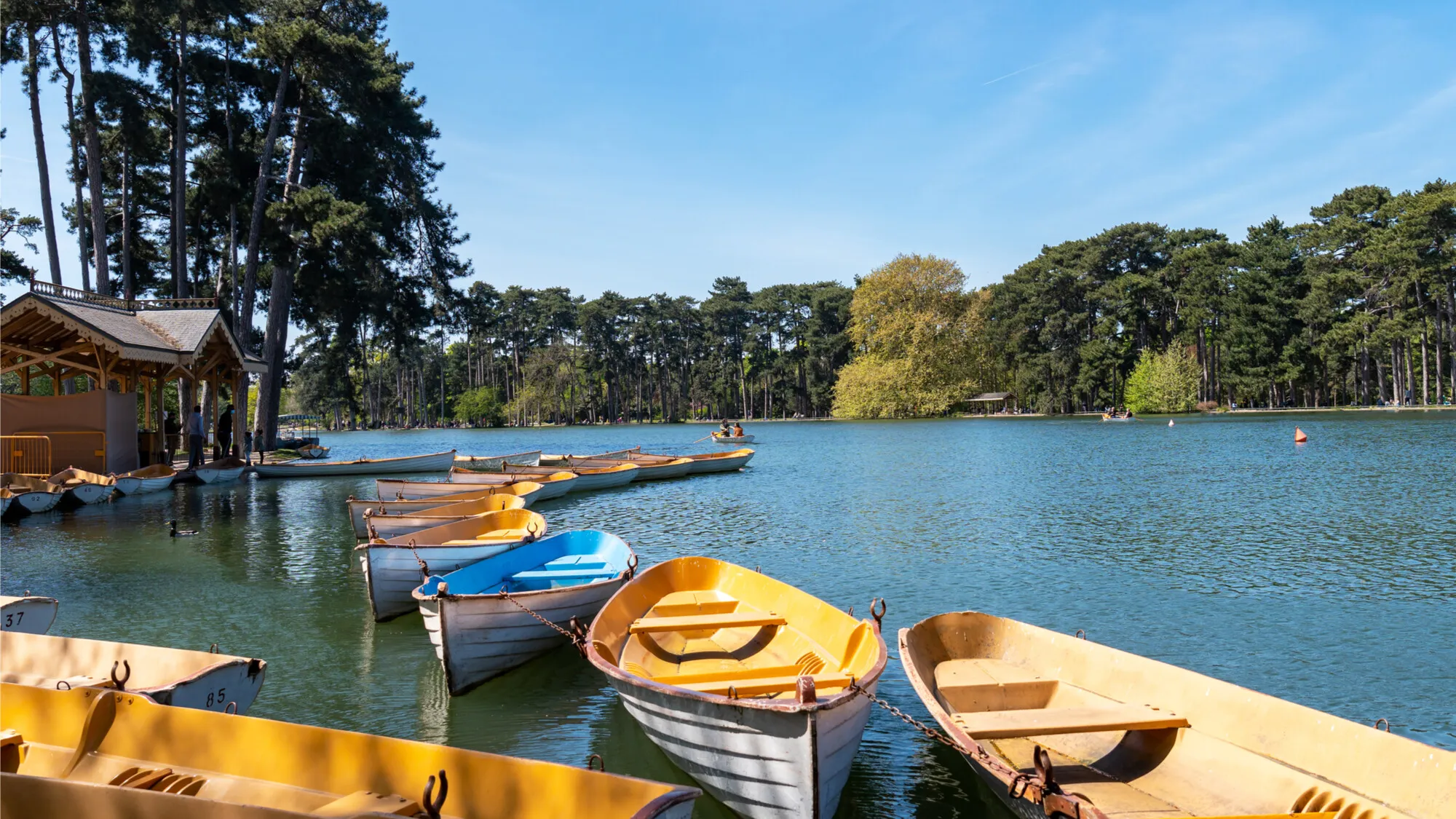 Bois de Boulogne, Ruang Hijau Ikonik di Jantung Paris