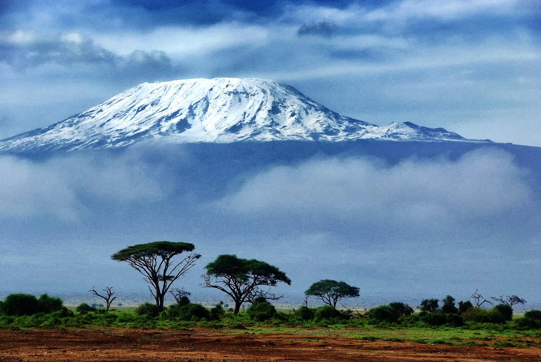 Mount Kilimanjaro, Atap Afrika yang Memukau