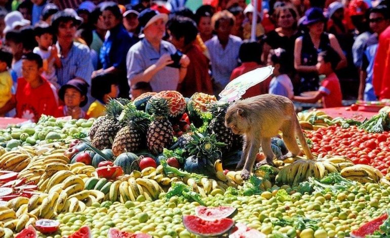 Monkey Buffet Festival, Pesta Makanan Gila untuk Ribuan Monyet di Lopburi, Thailand
