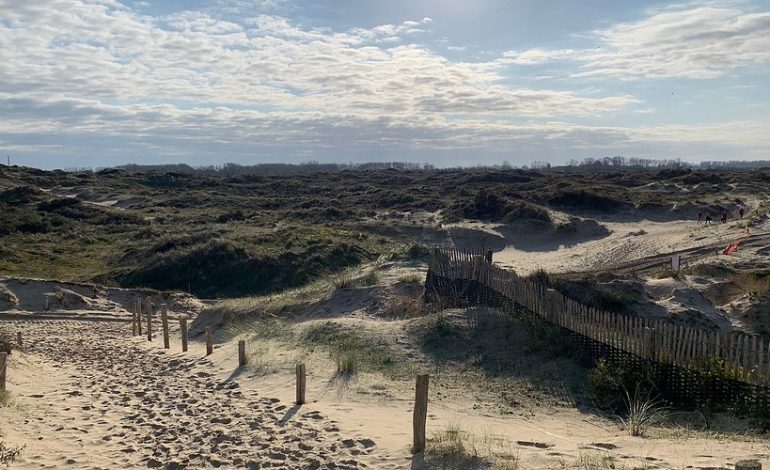 Westhoek Nature Reserve, Surga Alam Pantai dan Dunes Terindah di Belgia