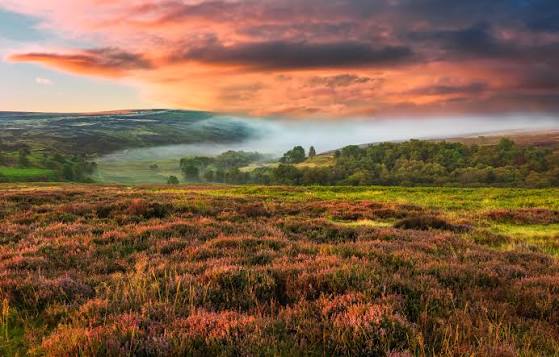North York Moors, Taman Nasional Indah dengan Padang Heather dan Pantai Dramatis di Inggris