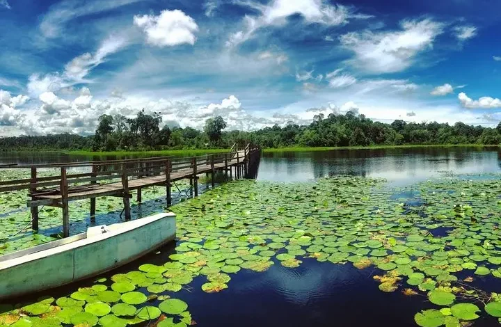 Tasek Merimbun Heritage Park, Permata Alam Brunei yang Memukau