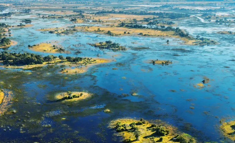 Okavango Delta, Oasis Spektakuler di Tengah Gurun Kalahari