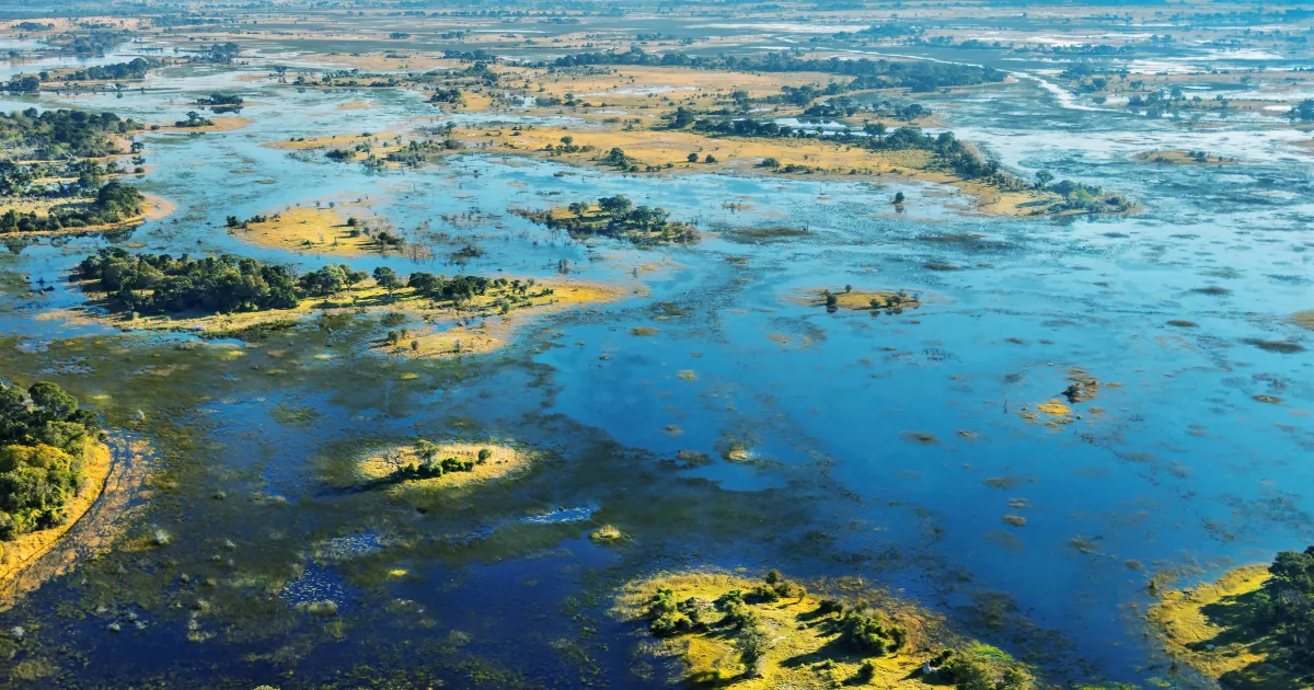 Okavango Delta, Oasis Spektakuler di Tengah Gurun Kalahari