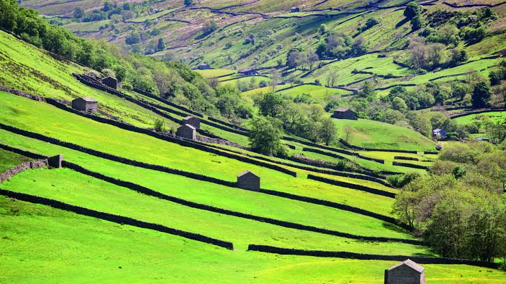 Yorkshire Dales National Park, Keindahan Lembah Hijau di Utara Inggris